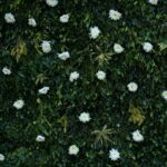 Living wall Koh SAmui Interior design