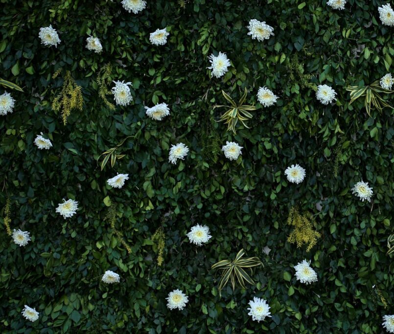 Living wall Koh SAmui Interior design