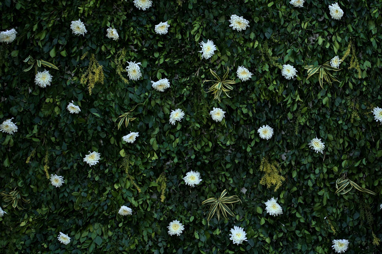 Living wall Koh SAmui Interior design